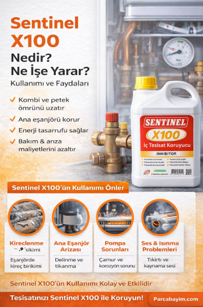 Sentinel X100 Nedir? Ne İşe Yarar? Kullanımı ve Faydaları