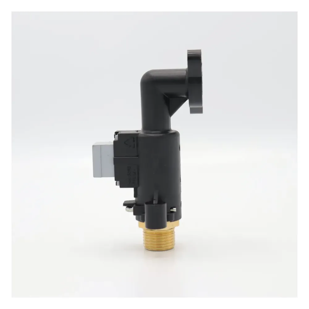 Immergas Eolo Mini 24 kW Uyumlu Su Akış Şalteri Flanşlı 230 V Immergas Eolo Mini 24 kW Uyumlu Su Akış Şalteri Flanşlı 230 V - 4. görsel