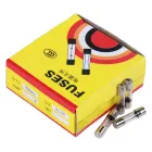 Kombi Kartı Cam Sigorta 2 Amper 100 lü - 1. görsel
